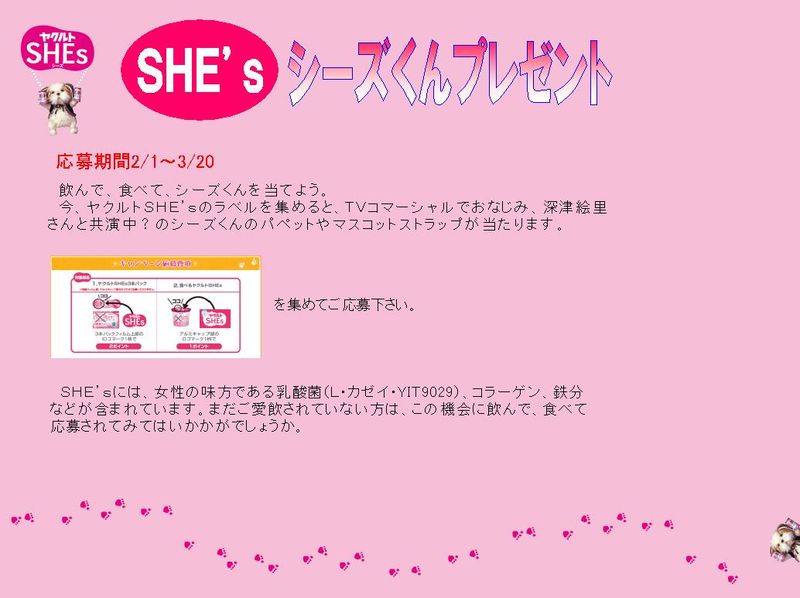 シーズ犬
