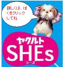 シーズくんバナー