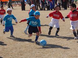 栃木県幼児サッカー大会（H22.2.7）