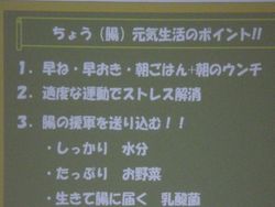 IMGP4050