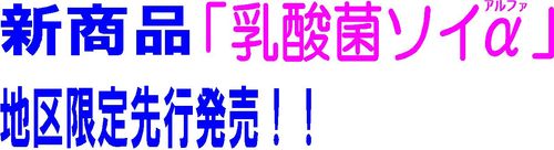 ソイα見出し