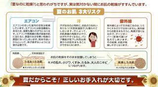 リベシィチラシ