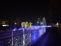 P1030259