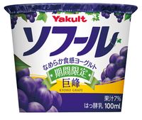 ソフール巨峰　正面
